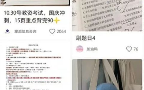 两部手机做小红书副业兼职，每天实打实的收入500