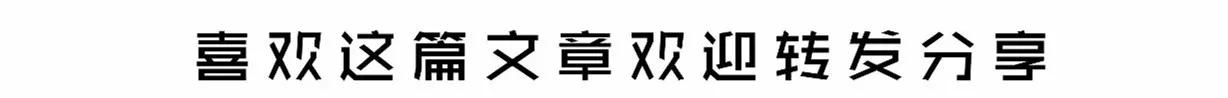 九下语文书电子版陈涉世家（新闻陈涉世家回归了）