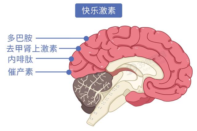 情侣接吻技巧(情侣接吻的优点)