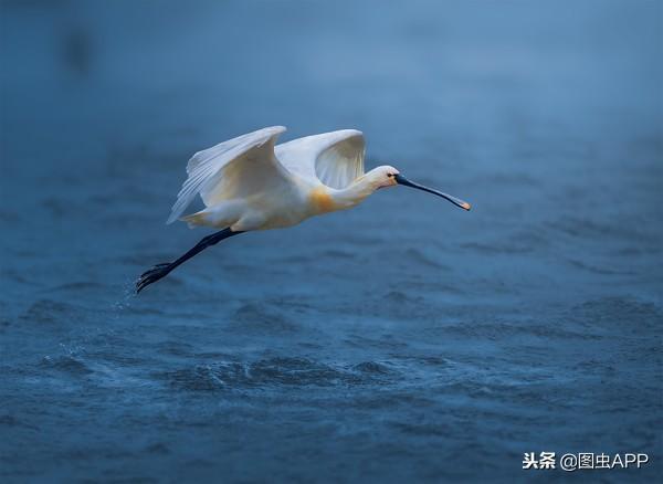 好乐宝博客(好乐宝博客蒙古蒙文网站)