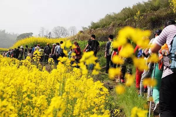 宁海驴友网(宁海自驾游)