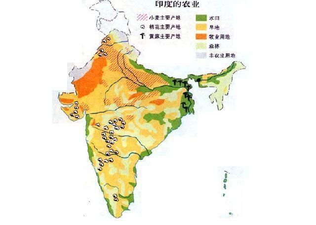 印度面积多少平方公里(印度面积多少平方公里-人口多少)