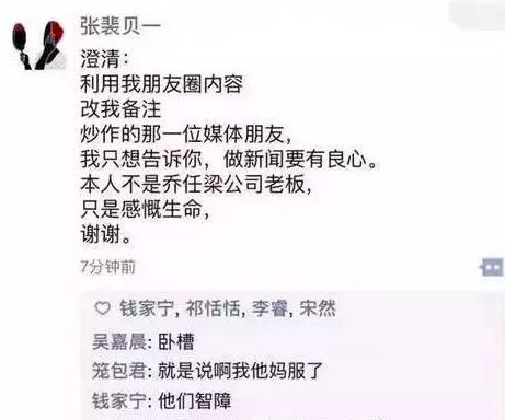 崔雪莉自杀之谜：没按照你们的意愿活，我很抱歉