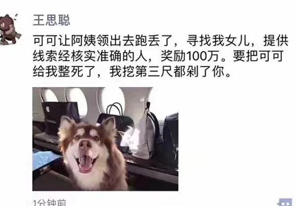 王思聪的狗丢了 取代狗的位置？王思聪狗丢了