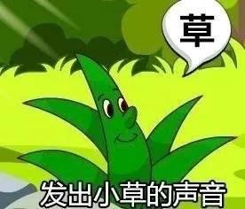 歪嘴龙王是什么梗？歪嘴龙王